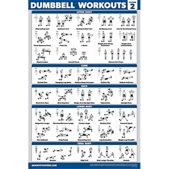 3 Pack Laminated Palace Learning Dumbbell and Body Weight Exercise Poster 18x24" - Picture 5 of 6